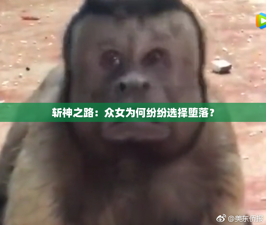 斩神之路：众女为何纷纷选择堕落？