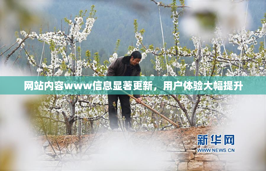 网站内容www信息显著更新，用户体验大幅提升