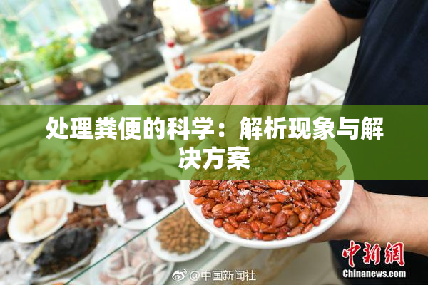 处理粪便的科学：解析现象与解决方案