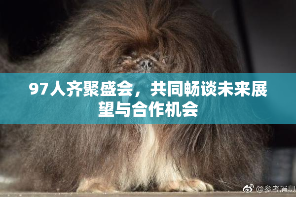 97人齐聚盛会，共同畅谈未来展望与合作机会