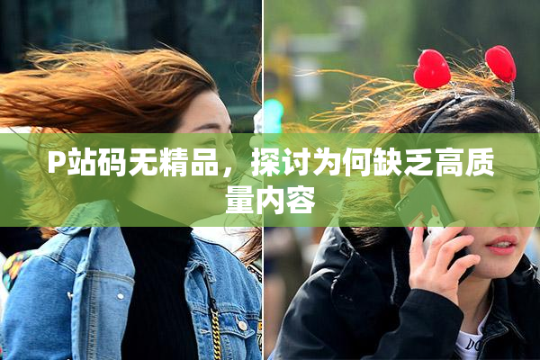 P站码无精品，探讨为何缺乏高质量内容