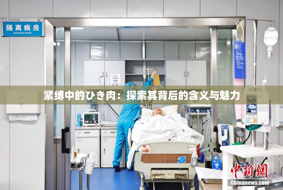 紧缚中的ひき肉：探索其背后的含义与魅力
