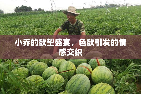 小乔的欲望盛宴，色欲引发的情感交织