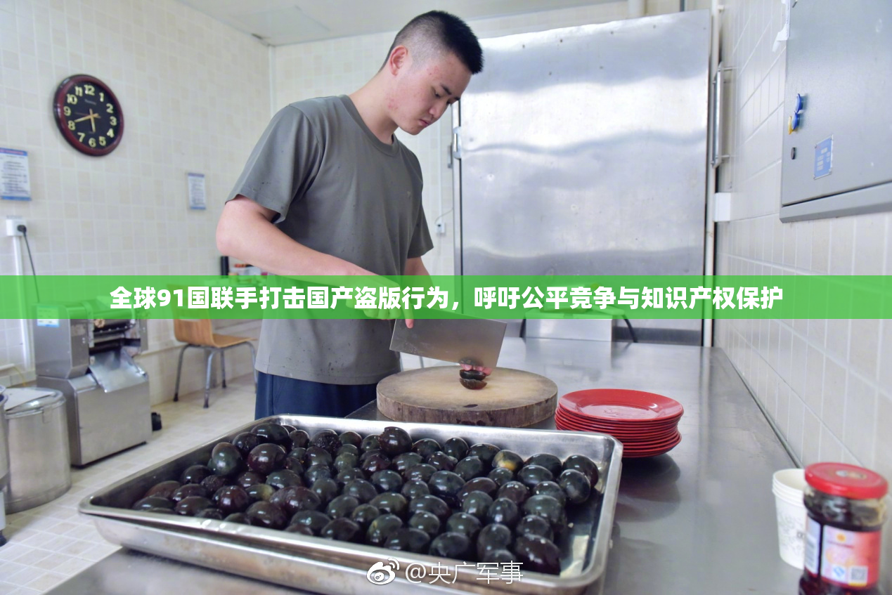 全球91国联手打击国产盗版行为，呼吁公平竞争与知识产权保护