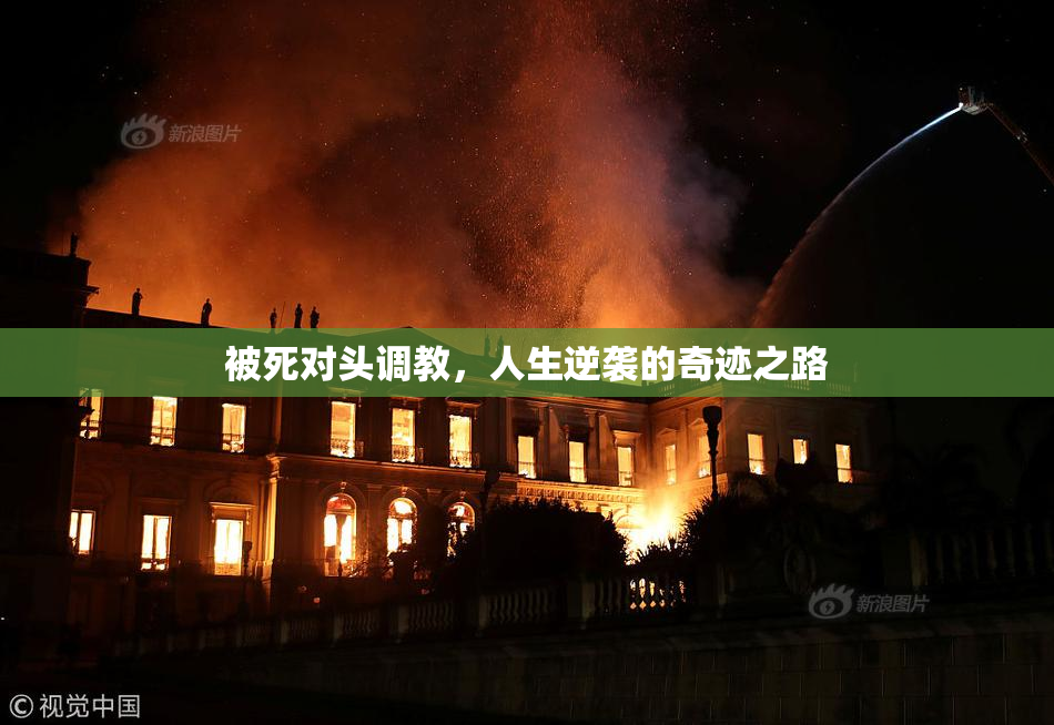被死对头调教，人生逆袭的奇迹之路