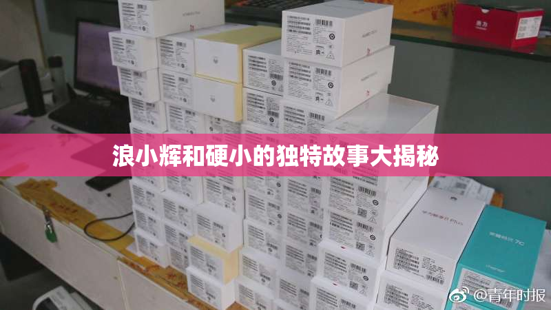 浪小辉和硬小的独特故事大揭秘