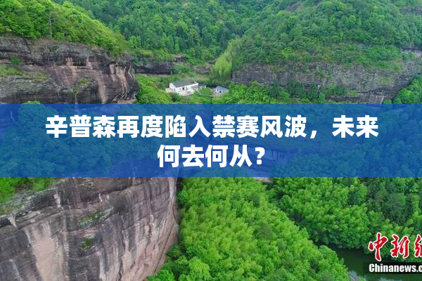 辛普森再度陷入禁赛风波，未来何去何从？