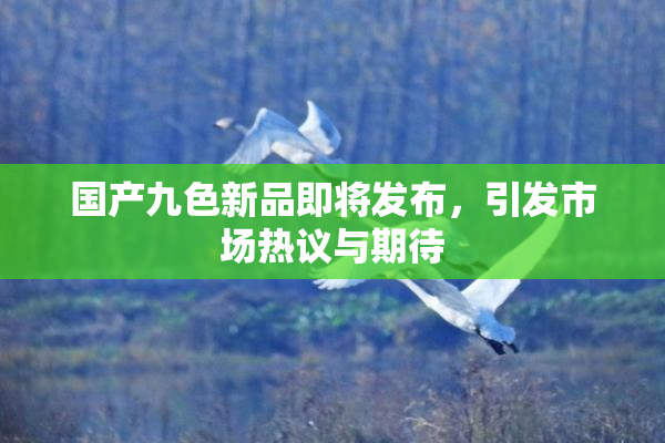 国产九色新品即将发布，引发市场热议与期待
