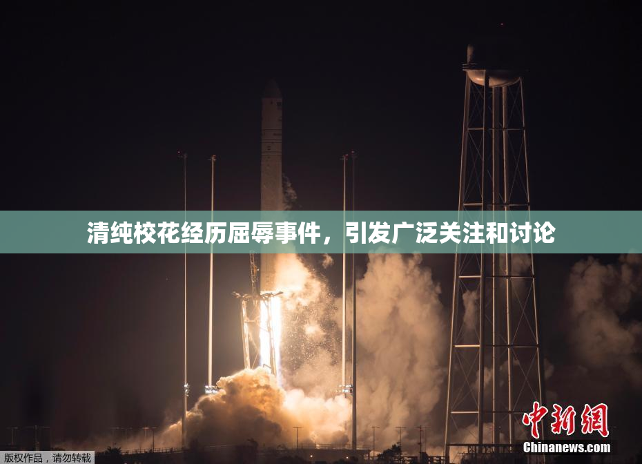 清纯校花经历屈辱事件，引发广泛关注和讨论