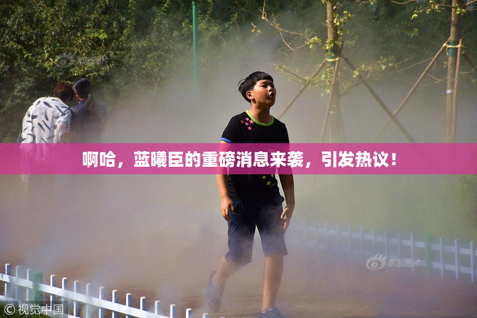 啊哈，蓝曦臣的重磅消息来袭，引发热议！