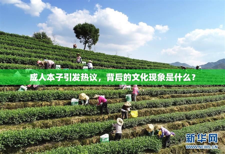 成人本子引发热议，背后的文化现象是什么？