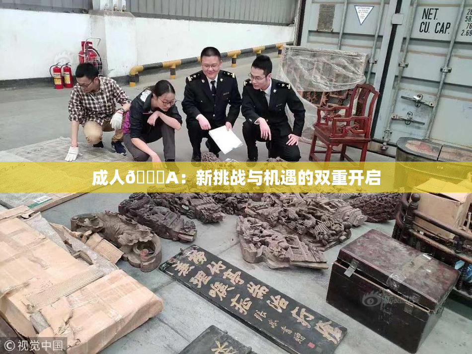 成人🔞A：新挑战与机遇的双重开启