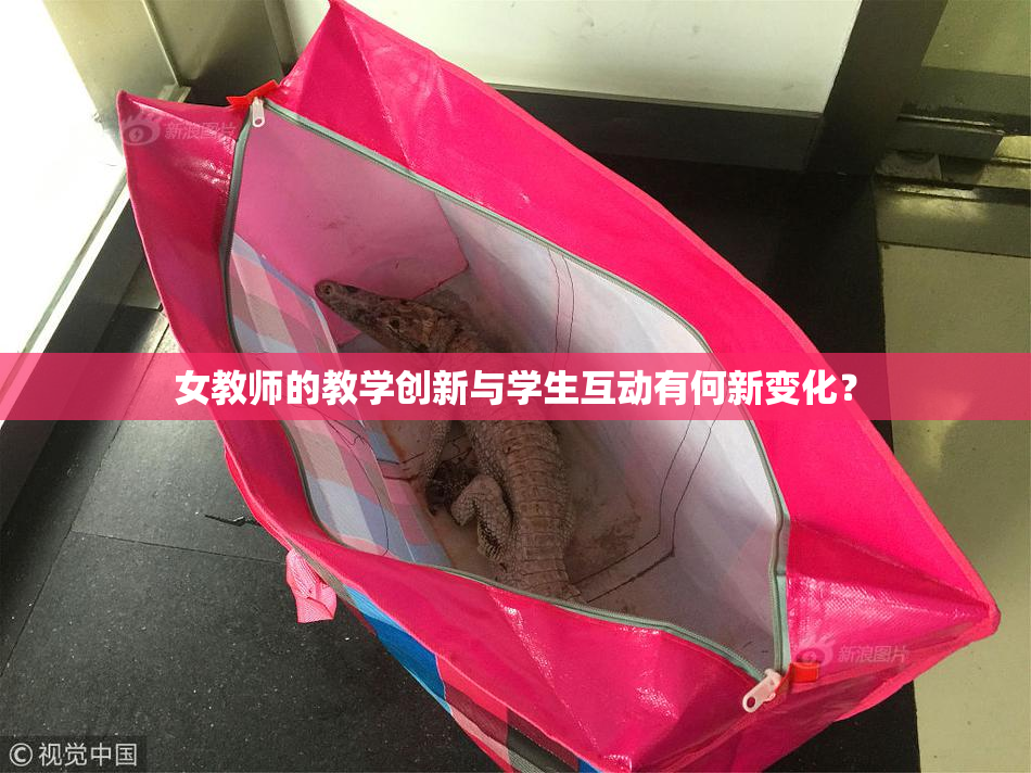 女教师的教学创新与学生互动有何新变化？