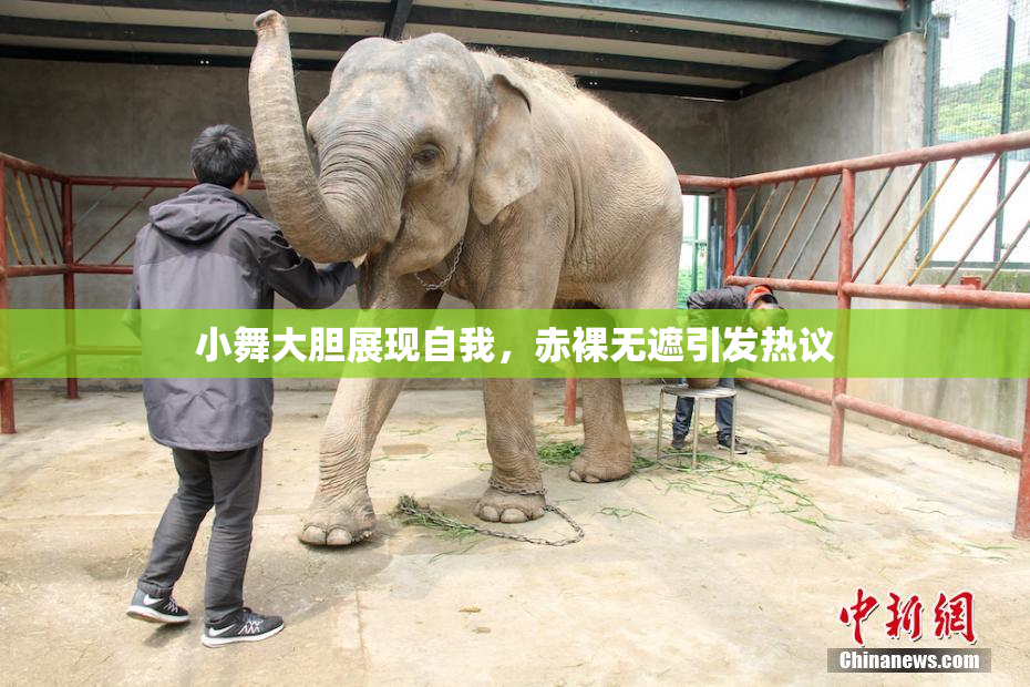 小舞大胆展现自我，赤裸无遮引发热议