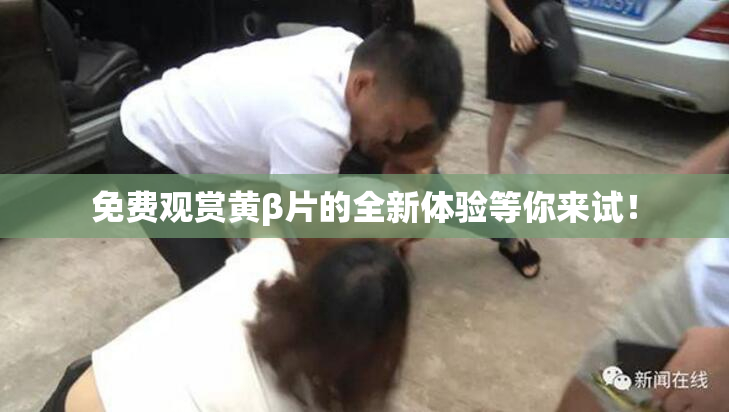 免费观赏黄β片的全新体验等你来试！