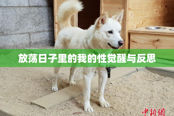 放荡日子里的我的性觉醒与反思