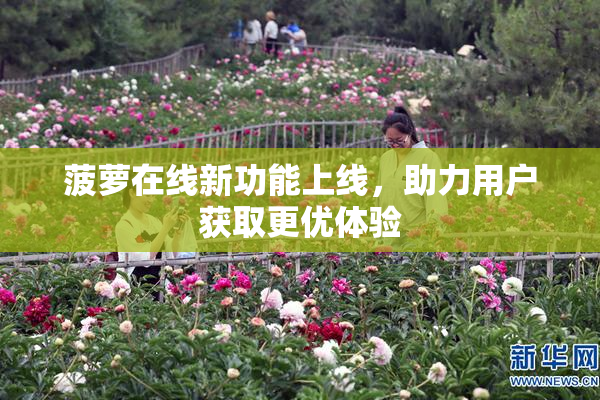 菠萝在线新功能上线，助力用户获取更优体验
