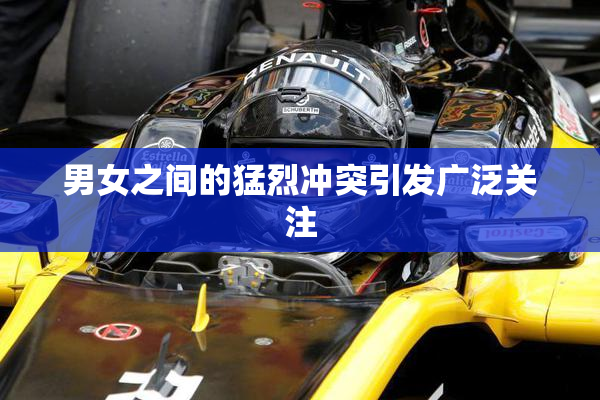 男女之间的猛烈冲突引发广泛关注