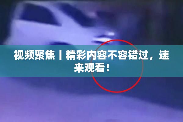 视频聚焦丨精彩内容不容错过，速来观看！