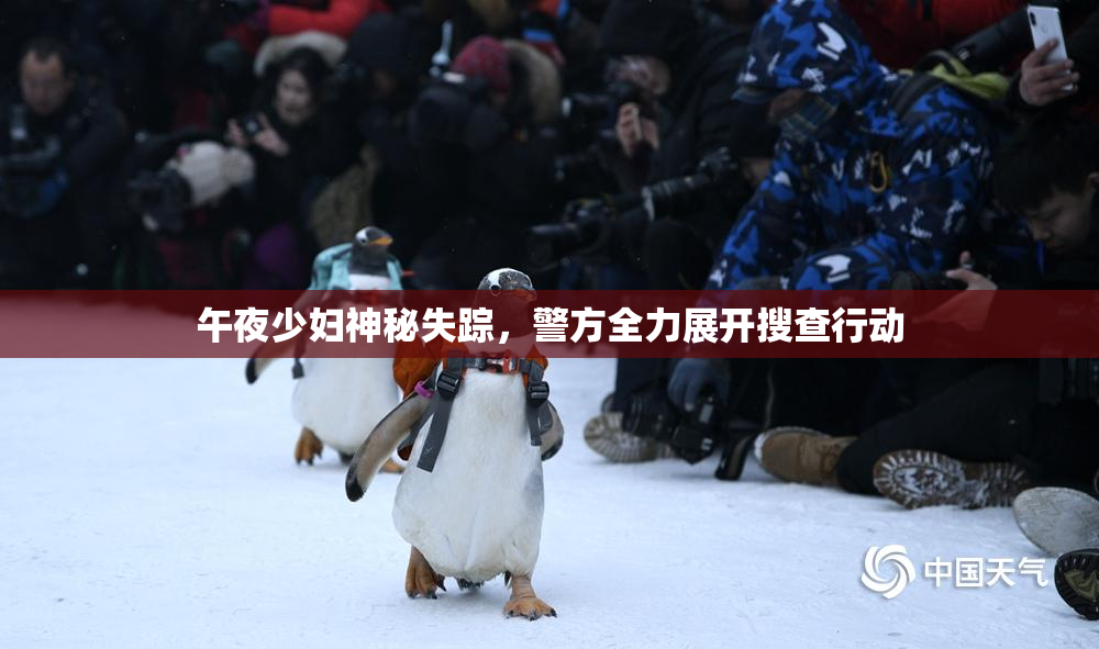 午夜少妇神秘失踪，警方全力展开搜查行动