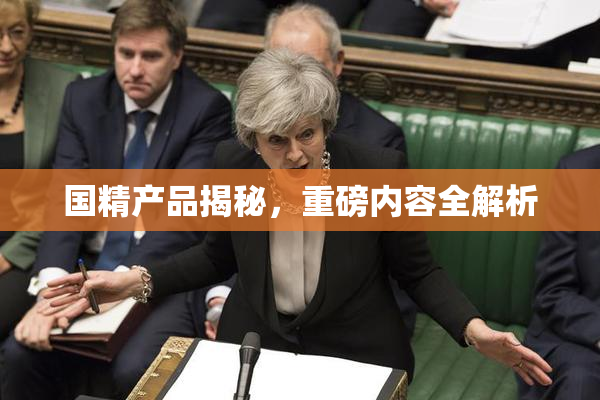 国精产品揭秘，重磅内容全解析
