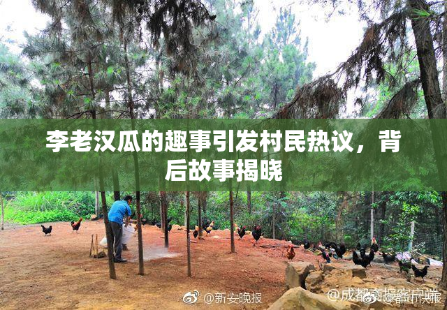 李老汉瓜的趣事引发村民热议，背后故事揭晓