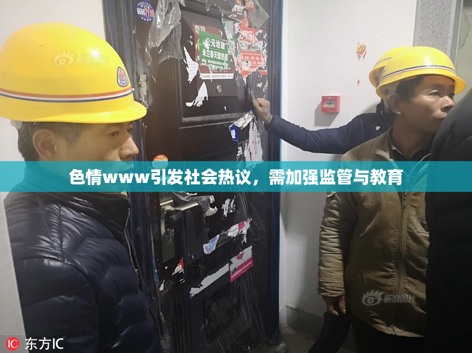 色情www引发社会热议，需加强监管与教育