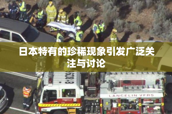 日本特有的珍稀现象引发广泛关注与讨论
