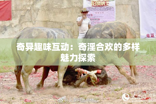 奇异趣味互动：奇淫合欢的多样魅力探索