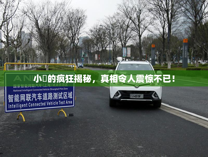 小泬的疯狂揭秘，真相令人震惊不已！