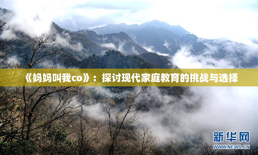 《妈妈叫我co》：探讨现代家庭教育的挑战与选择