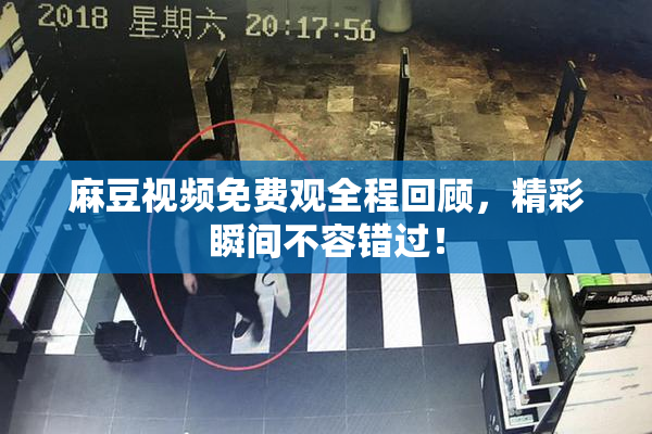 麻豆视频免费观全程回顾，精彩瞬间不容错过！