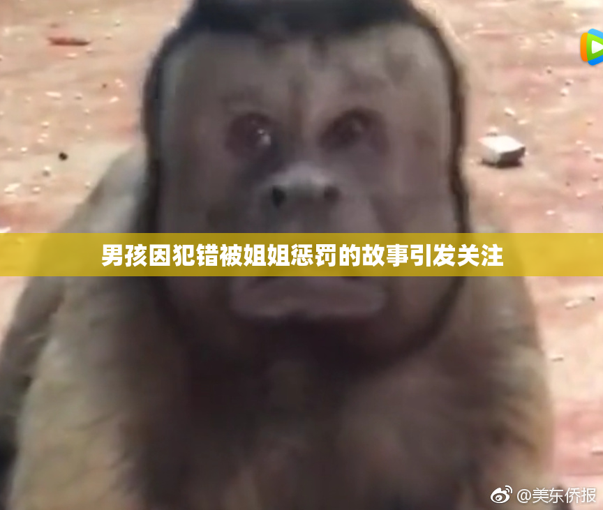 男孩因犯错被姐姐惩罚的故事引发关注