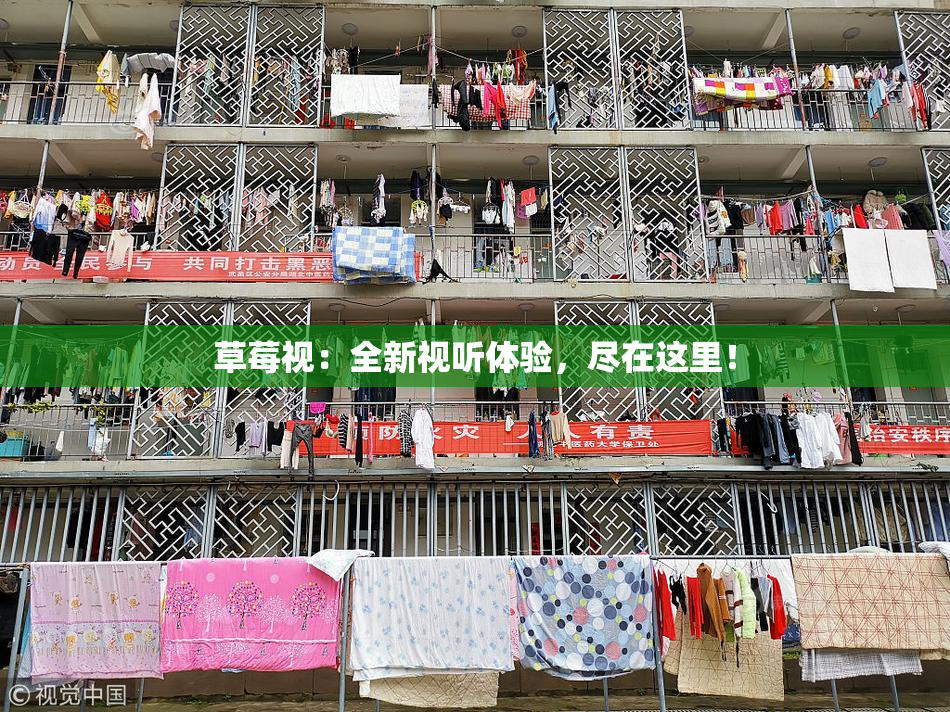 草莓视：全新视听体验，尽在这里！