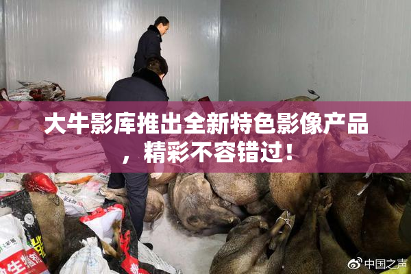 大牛影库推出全新特色影像产品，精彩不容错过！