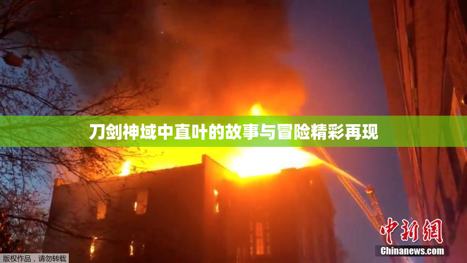 刀剑神域中直叶的故事与冒险精彩再现