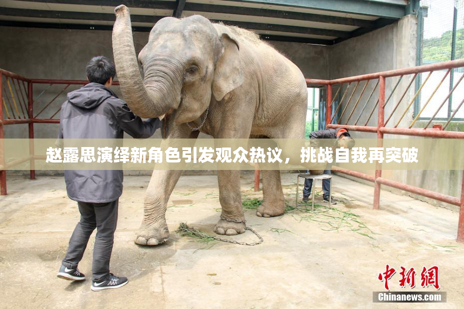 赵露思演绎新角色引发观众热议，挑战自我再突破