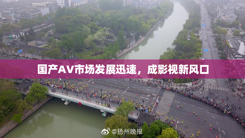 国产AV市场发展迅速，成影视新风口