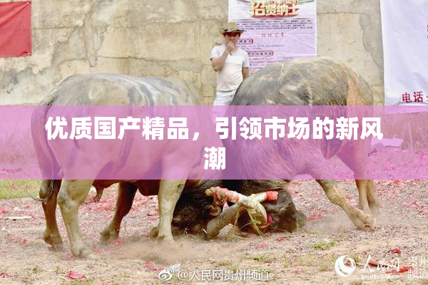 优质国产精品，引领市场的新风潮