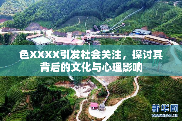 色XXXX引发社会关注，探讨其背后的文化与心理影响