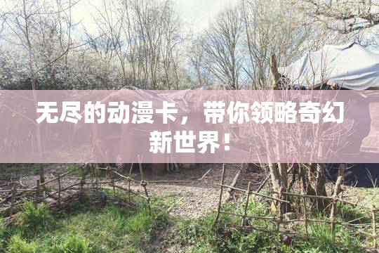 无尽的动漫卡，带你领略奇幻新世界！