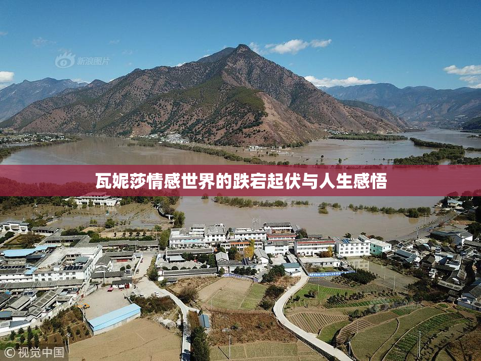 瓦妮莎情感世界的跌宕起伏与人生感悟