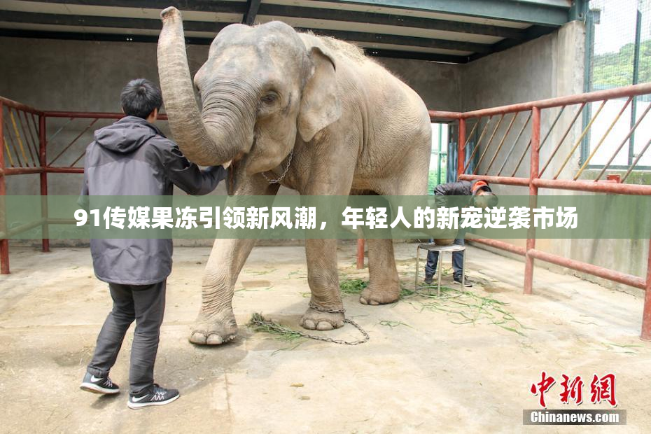 91传媒果冻引领新风潮，年轻人的新宠逆袭市场