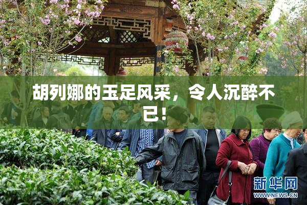 胡列娜的玉足风采，令人沉醉不已！