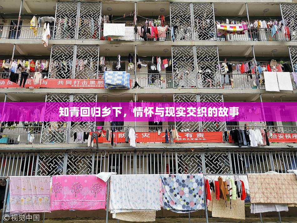 知青回归乡下，情怀与现实交织的故事