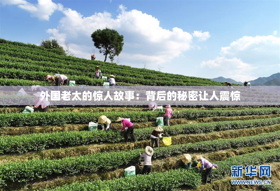 外国老太的惊人故事：背后的秘密让人震惊