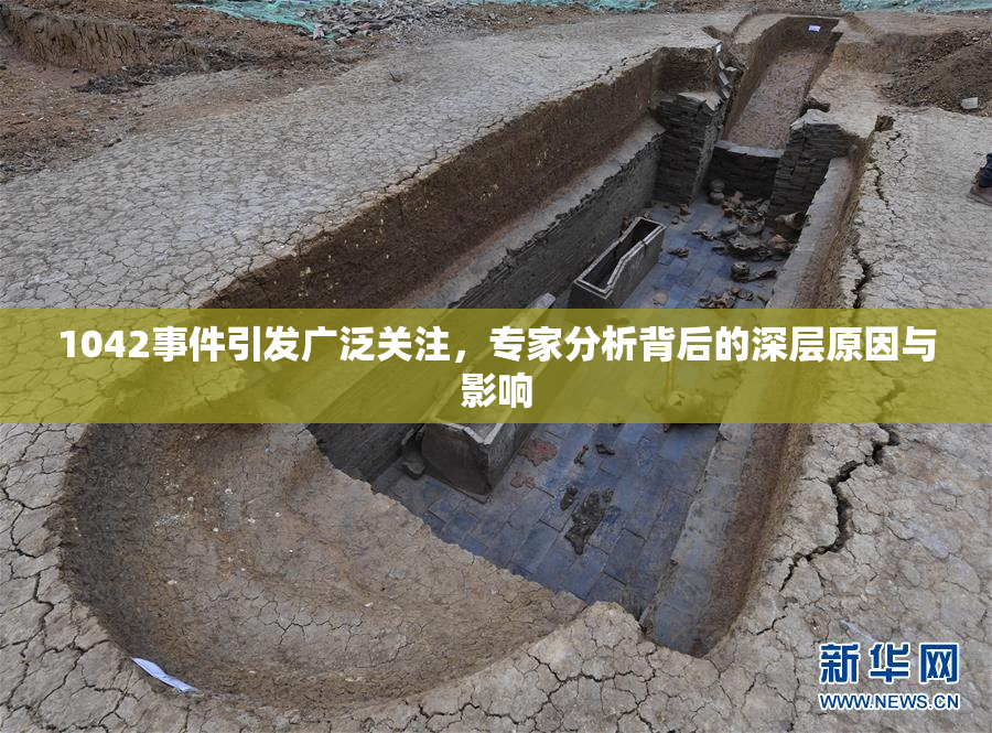 1042事件引发广泛关注，专家分析背后的深层原因与影响