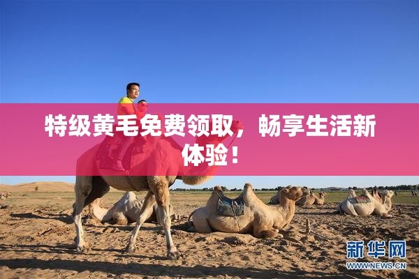 特级黄毛免费领取，畅享生活新体验！