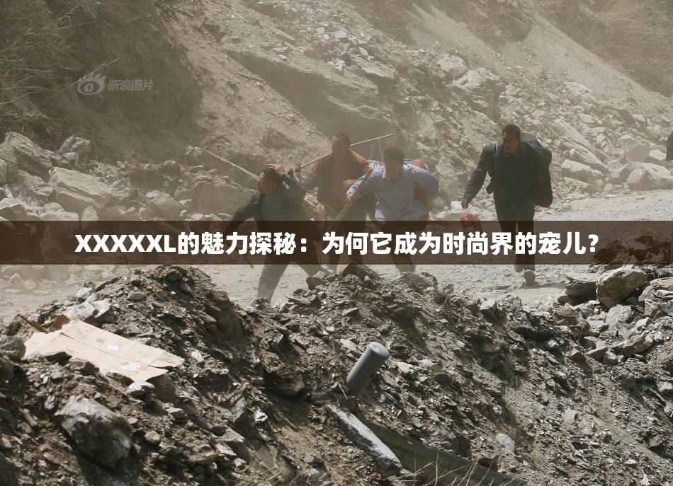 XXXXXL的魅力探秘：为何它成为时尚界的宠儿？