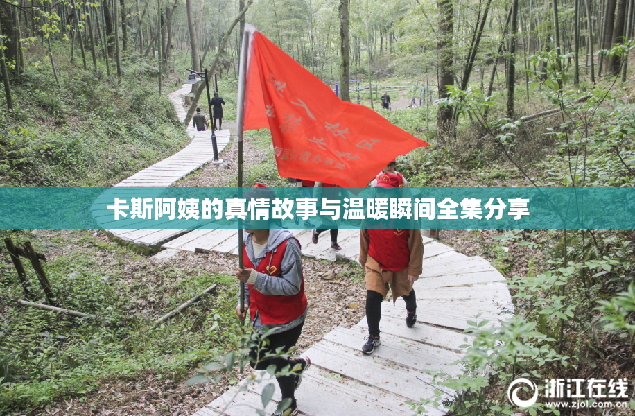 卡斯阿姨的真情故事与温暖瞬间全集分享